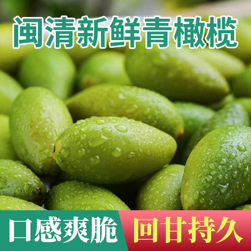 现摘闽清檀香二号青枣脆新鲜甜橄榄颗粒饱满送礼佳品适合生吃500g