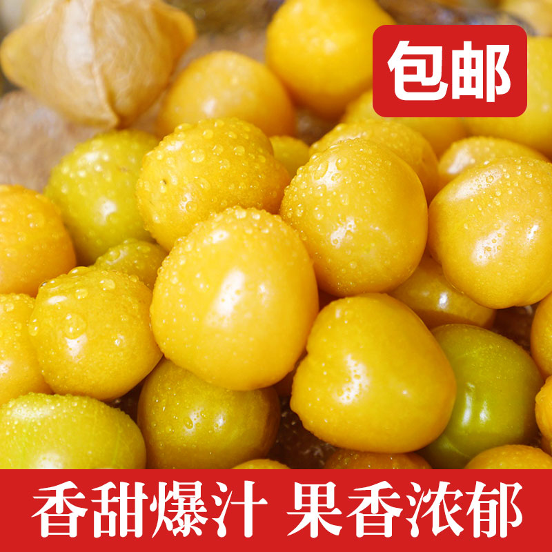 黑龙江姑娘果灯笼果新鲜香甜水果现摘现发t