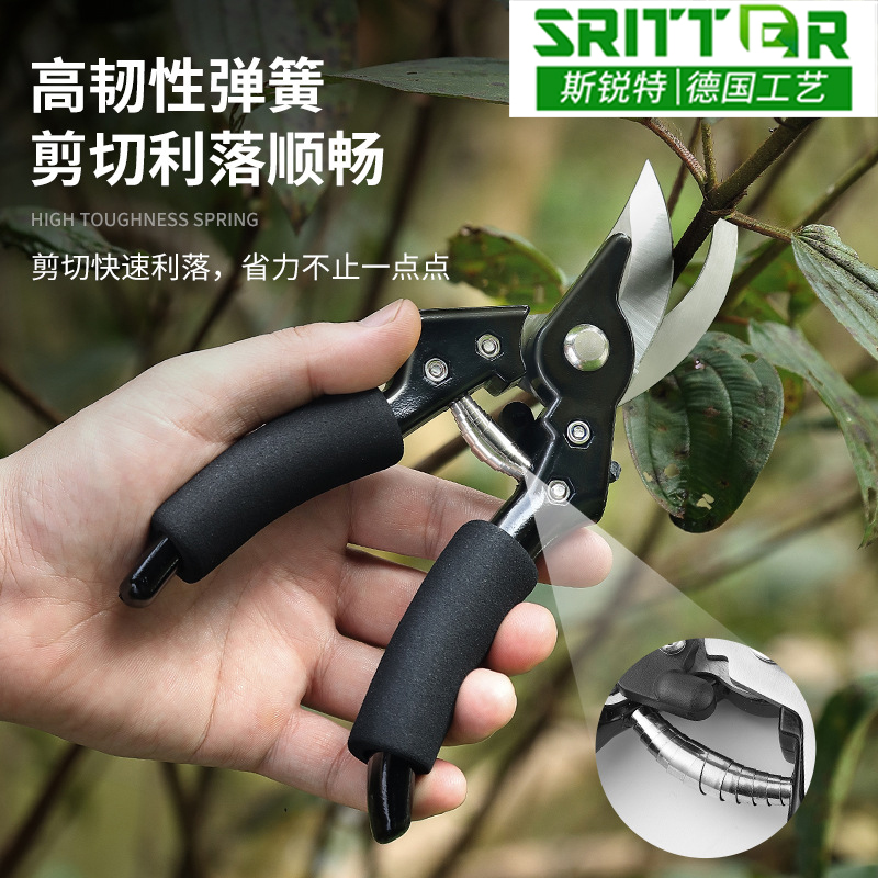 不锈钢剪枝剪刀强力花剪修枝剪树枝园艺园林花艺果树专用剪子修花