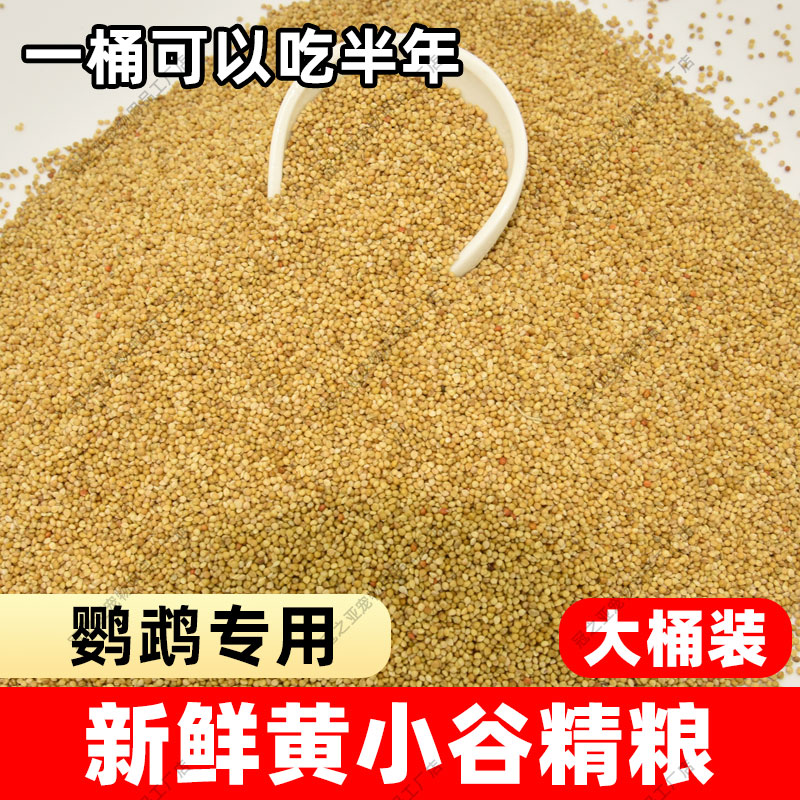 鹦鹉主粮黄谷子虎皮玄凤饲料鸟食文鸟带壳谷子小黄米牡丹粮食