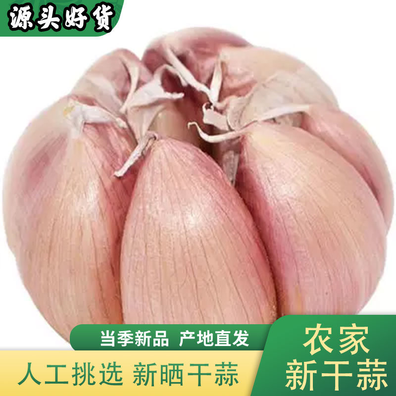 （新店冲量）农家干蒜5斤紫白皮杞县特产干大蒜头1斤2斤3斤9斤可种