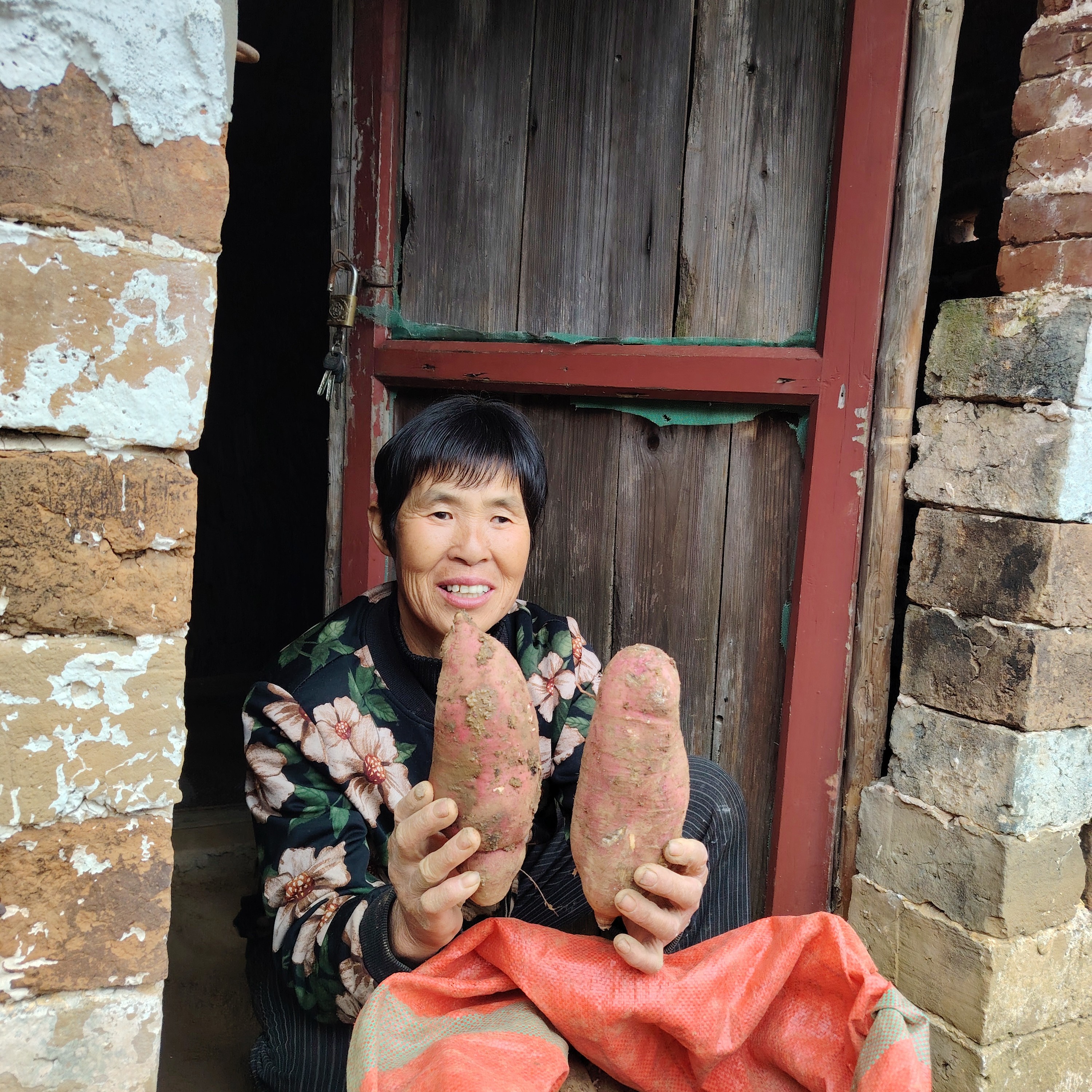 江西双新高山红薯  产地直发  江西武宁县鲁溪镇双新村柯善智种植