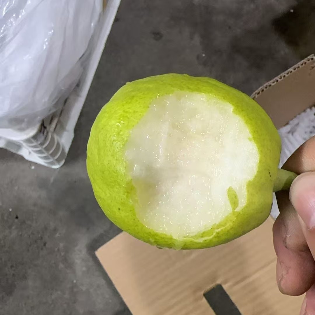 【六妈推荐】库尔勒香梨 礼盒香甜脆甜多汁水润1件4斤起辽宁发货