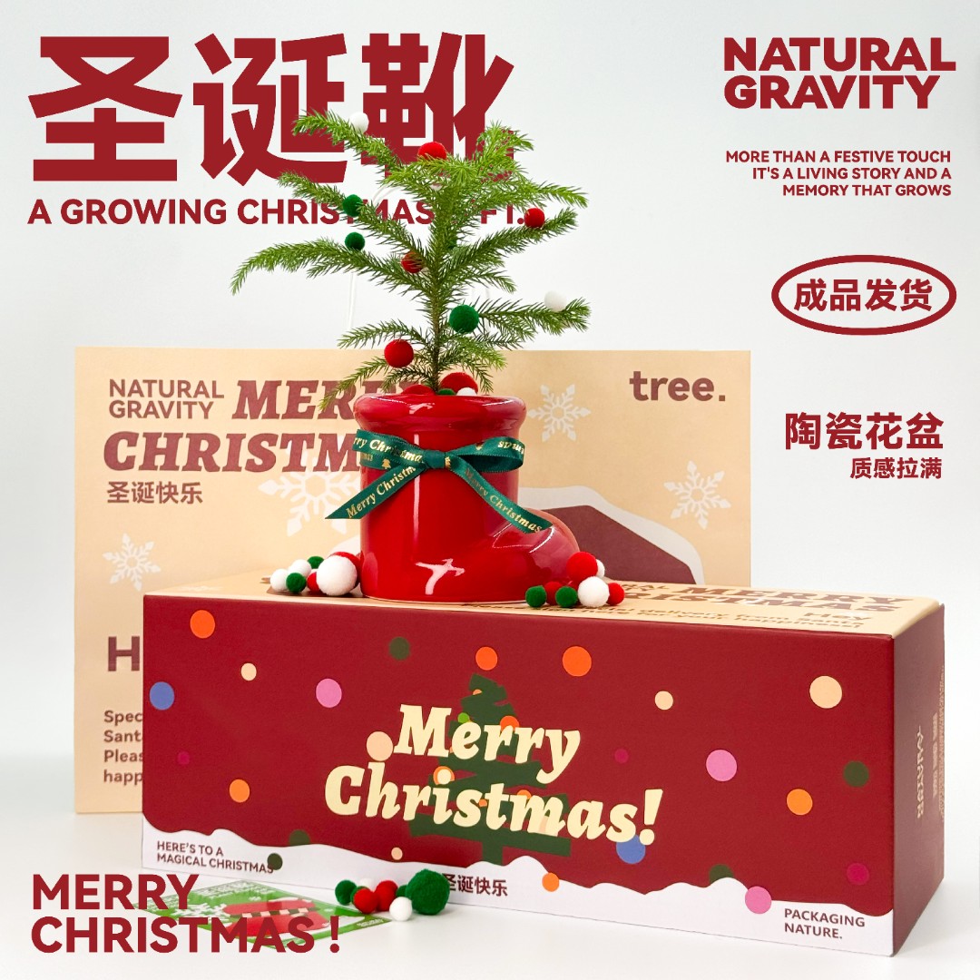 自然引力 圣诞礼物圣诞树南阳杉圣诞靴桌面创意室内绿物送人礼物
