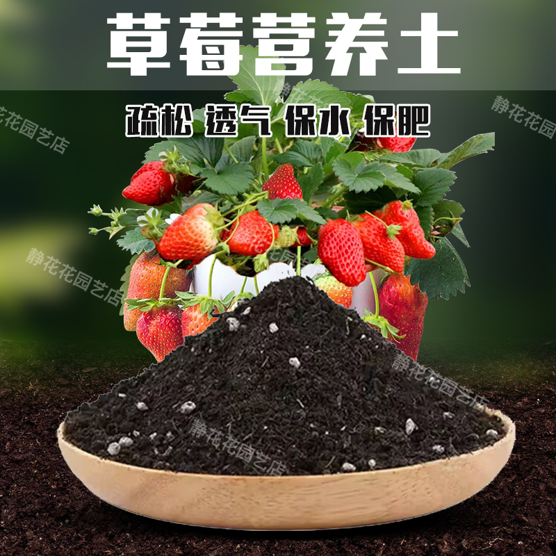 草莓专用土专用营养土绿植盆栽通用草莓育苗基质种植泥土大棚种植