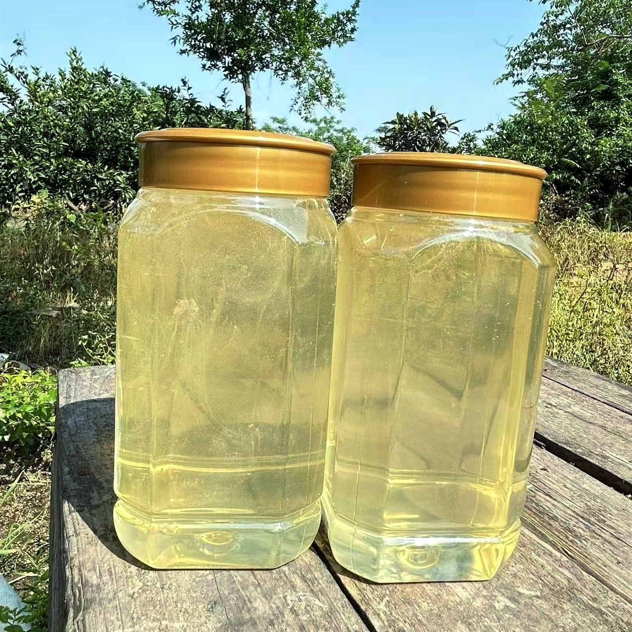 2025年新鲜水白洋槐蜂蜜蜂农直销（初级农产品）