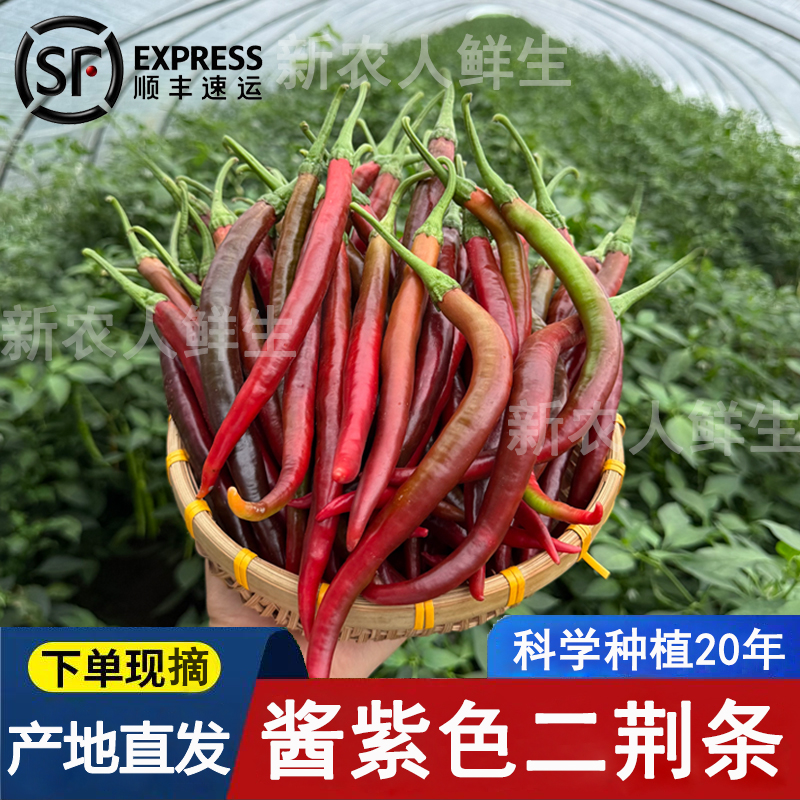 【顺丰包邮】新鲜乌红二荆条酱紫色中辣线椒农家精选可做泡椒泡坛子