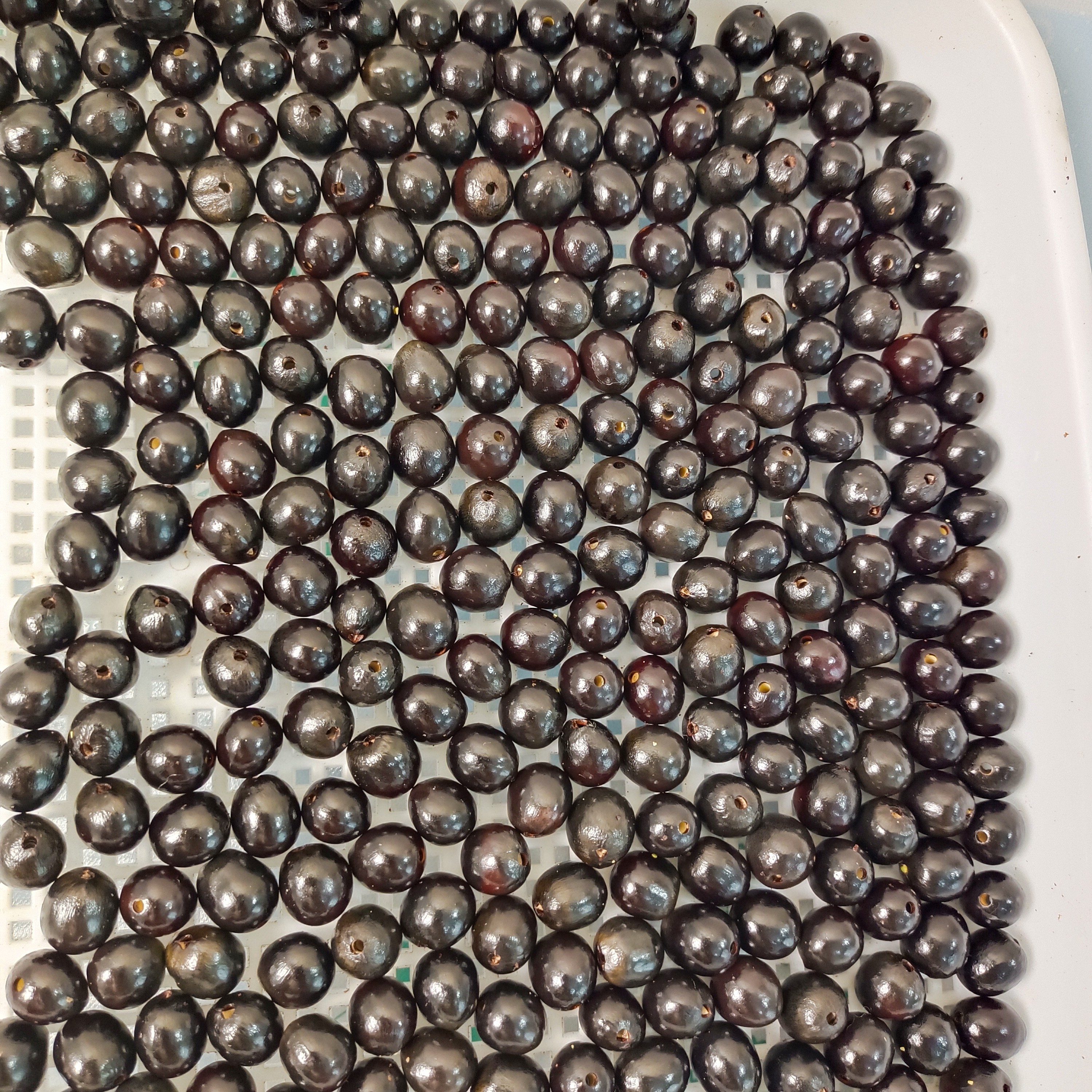 无患子散珠已打一字孔无修无磨做串挂件摆件送弹力绳钩针孔道2.0