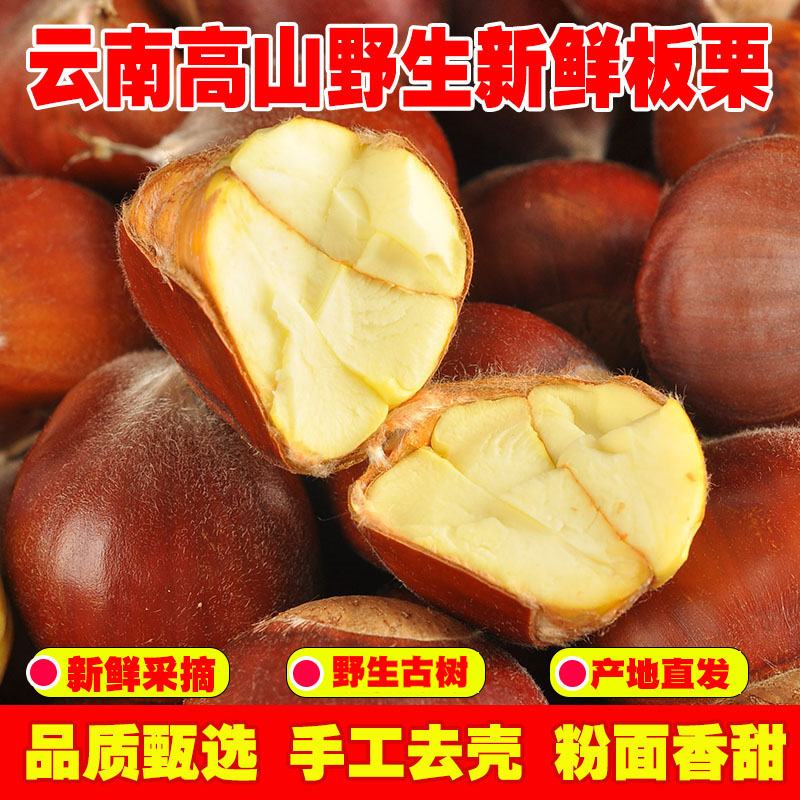 云南高山老树新鲜板栗香甜颗颗饱满香糯好剥皮精选板栗