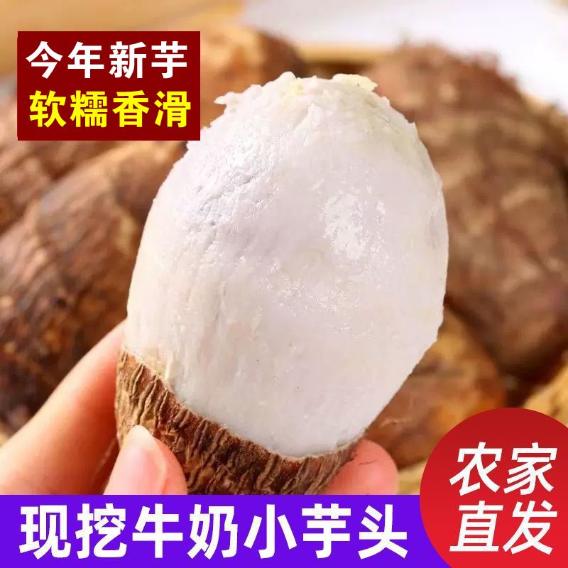 牛奶芋头贵州现挖毛芋头新鲜软糯香滑奶香小芋艿应季南方蔬菜