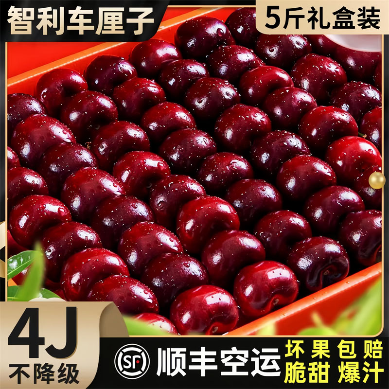 特级果王桑提娜1-5J智利车厘子海运脆甜爆汁1.8-5斤内附果径卡