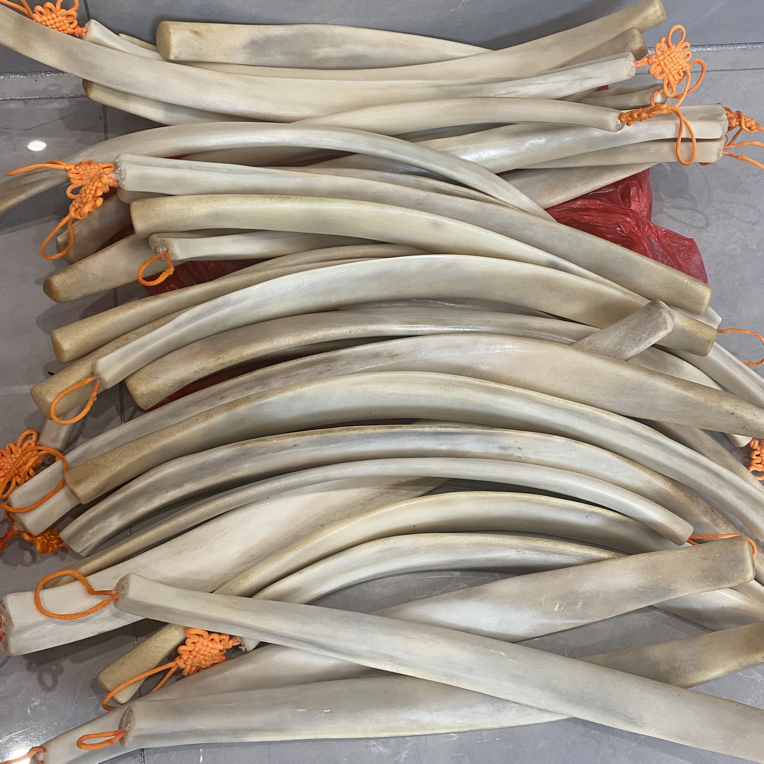 传统刮板(精品牛骨)颈部肩部背部腿部美容院家用按摩（大号）纯手工