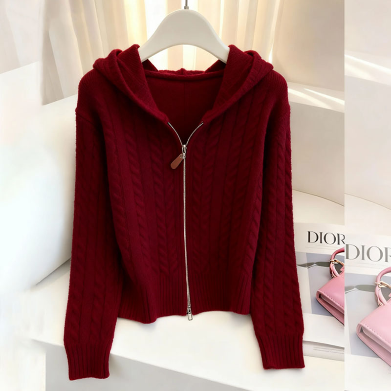 秋冬新款连帽针织衫毛衣女时尚百搭气质轻熟风上衣设计感别致小衫