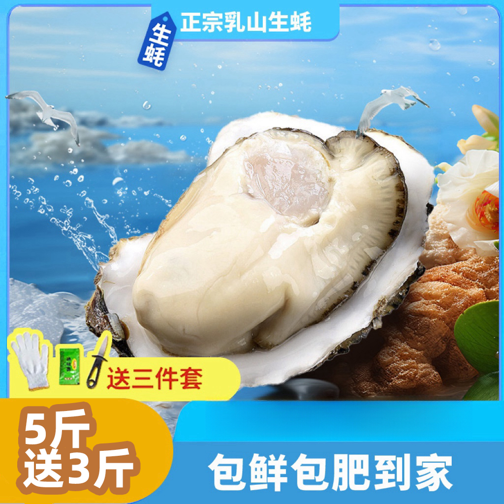 【买5斤送3斤】新鲜正宗乳山生蚝牡蛎原产地包邮 海蛎子蒸煮烤生蚝2