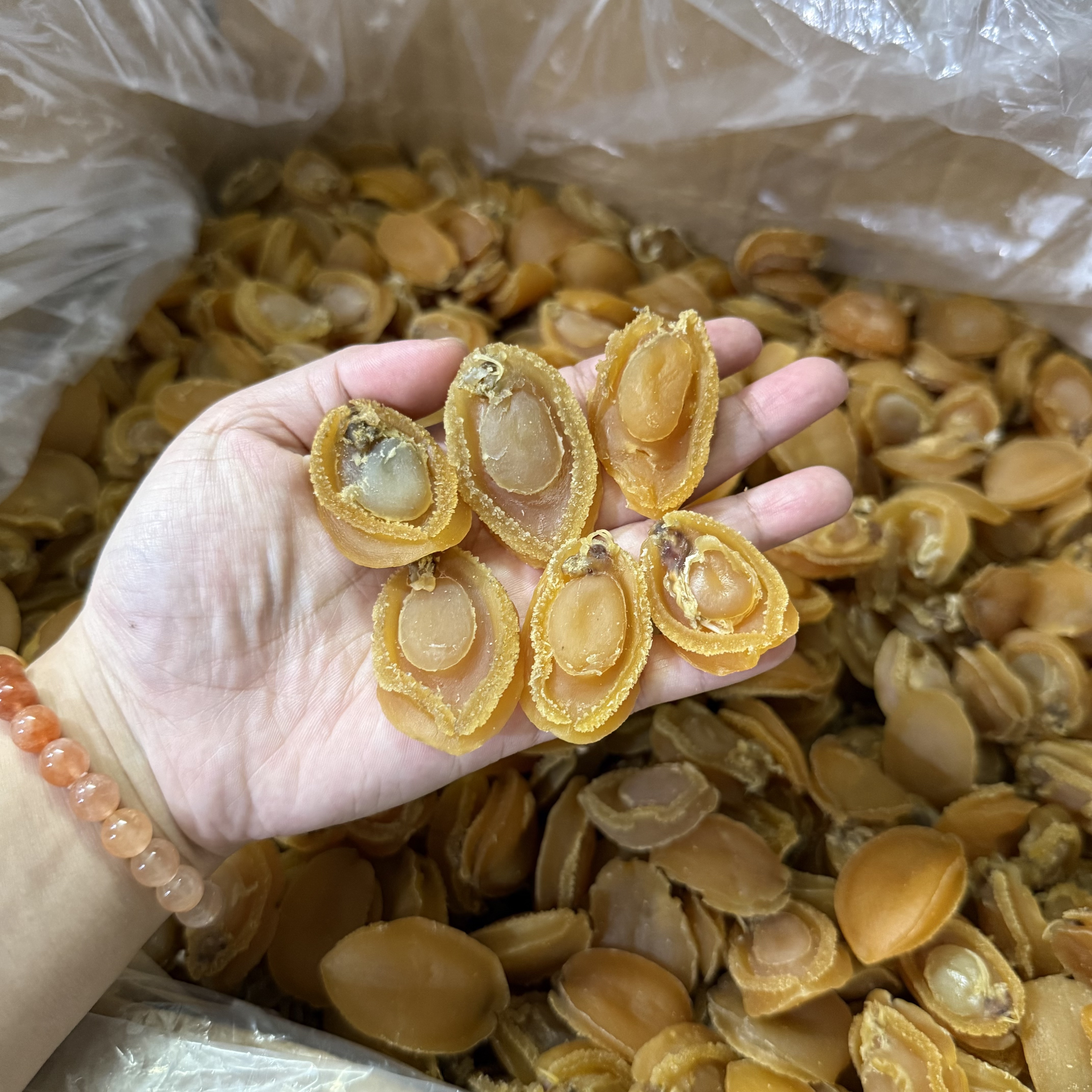 80头自晒鲍鱼干生晒鲍鱼干黄金鲍煲汤煲粥焖鸡鲜味十足有营养