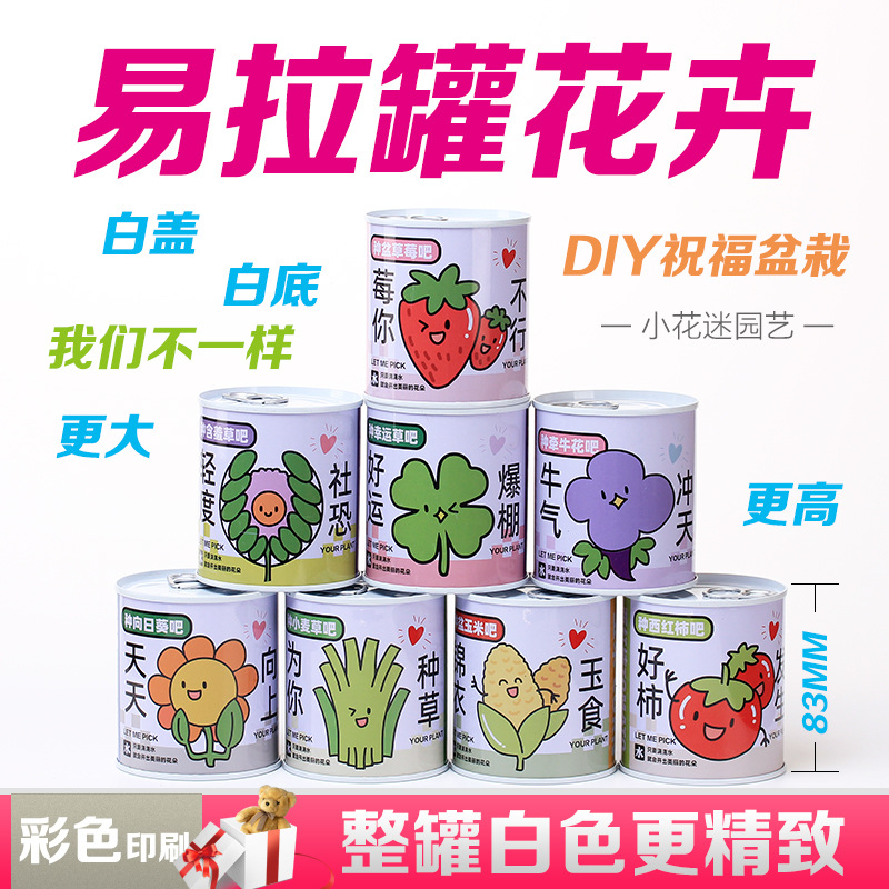 礼物罐头迷你易拉罐植物小盆栽四叶草盆栽办公室花卉绿植种子盆栽
