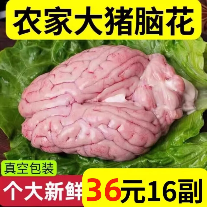 新鲜整副干净去血膜免处理猪脑花速冻大猪脑左脑右脑小脑火锅烧烤
