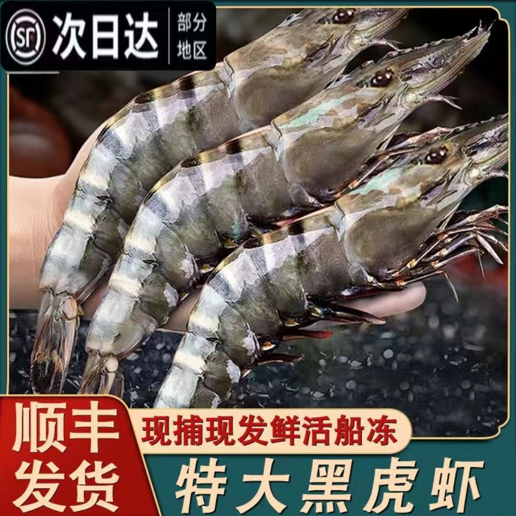 黑虎虾鲜活超大虾鲜活速冻九节虾海鲜水产深海捕捞特大新鲜老虎虾