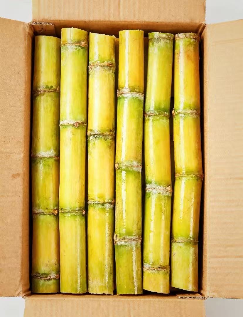 云南高山黄金甘蔗新鲜甘蔗应季水果 现砍现发脆甜多汁