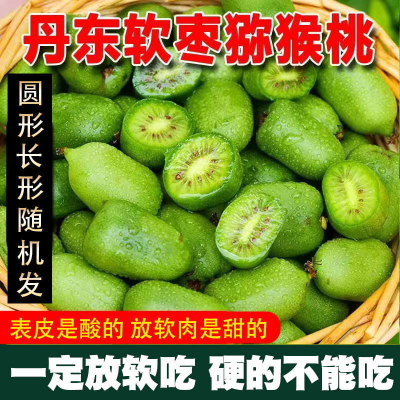 【务必放软吃】东北软枣猕猴桃奇异莓Vc小巨人【中大果一斤22-30个】