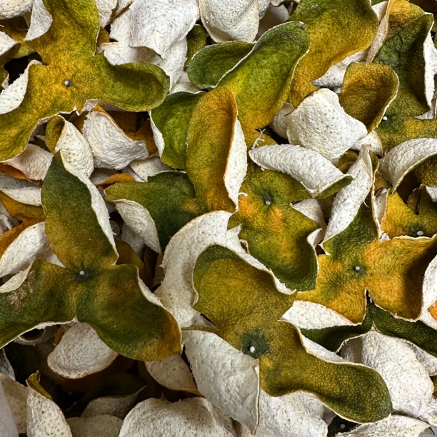 2025双水牛比围圈枝二红皮500克