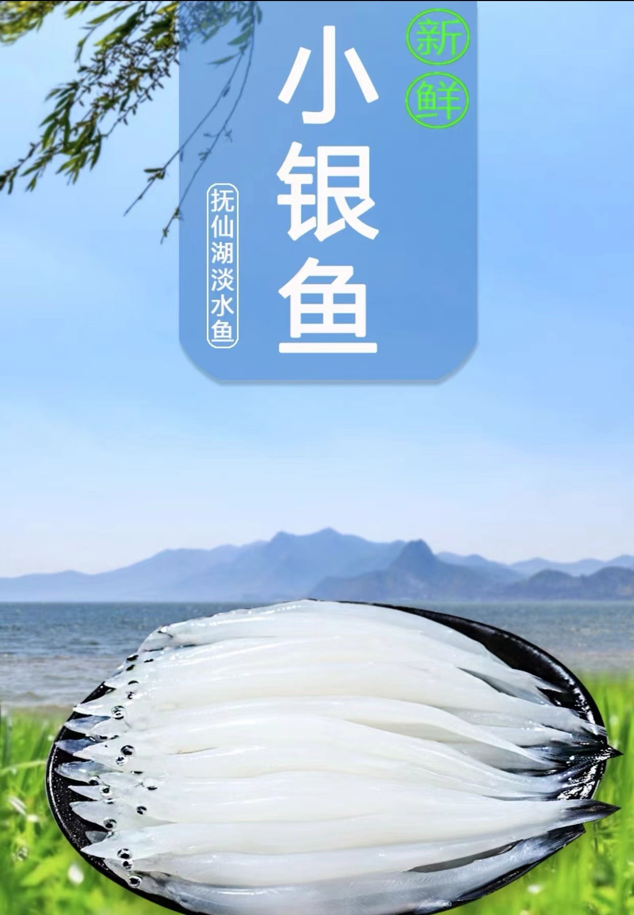 抚仙湖捕捞小银鱼（拍一发五）宝宝辅食到手一斤