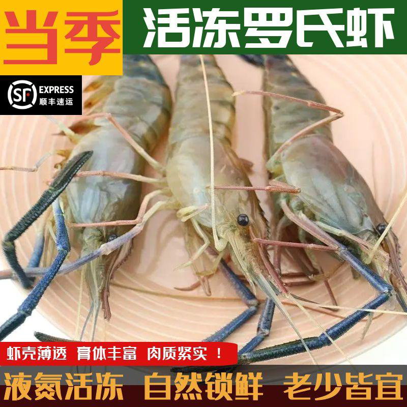 【顺丰】3斤鲜活冷冻罗氏沼虾淡水大虾河虾对虾新鲜大头虾海鲜