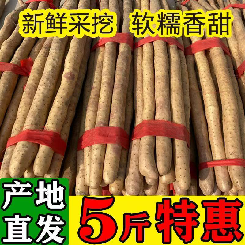 正宗蠡县铁棍山药45-60厘米正宗好吃新鲜优质品质
