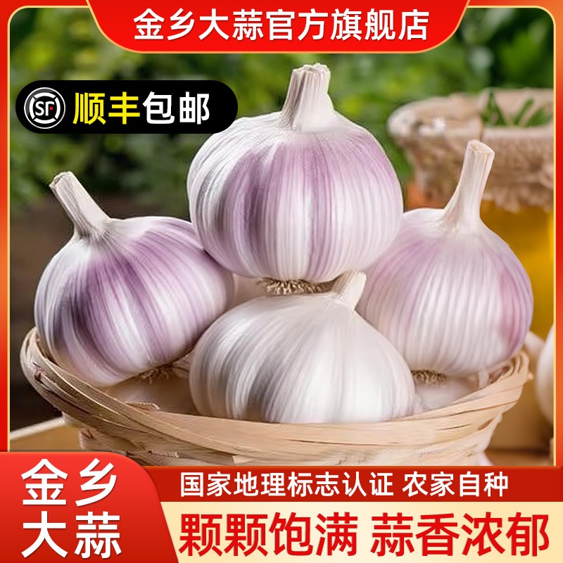 【顺丰速发】金乡大蒜新干蒜农家蒜头紫白皮山东今年新鲜蒜2025新蒜