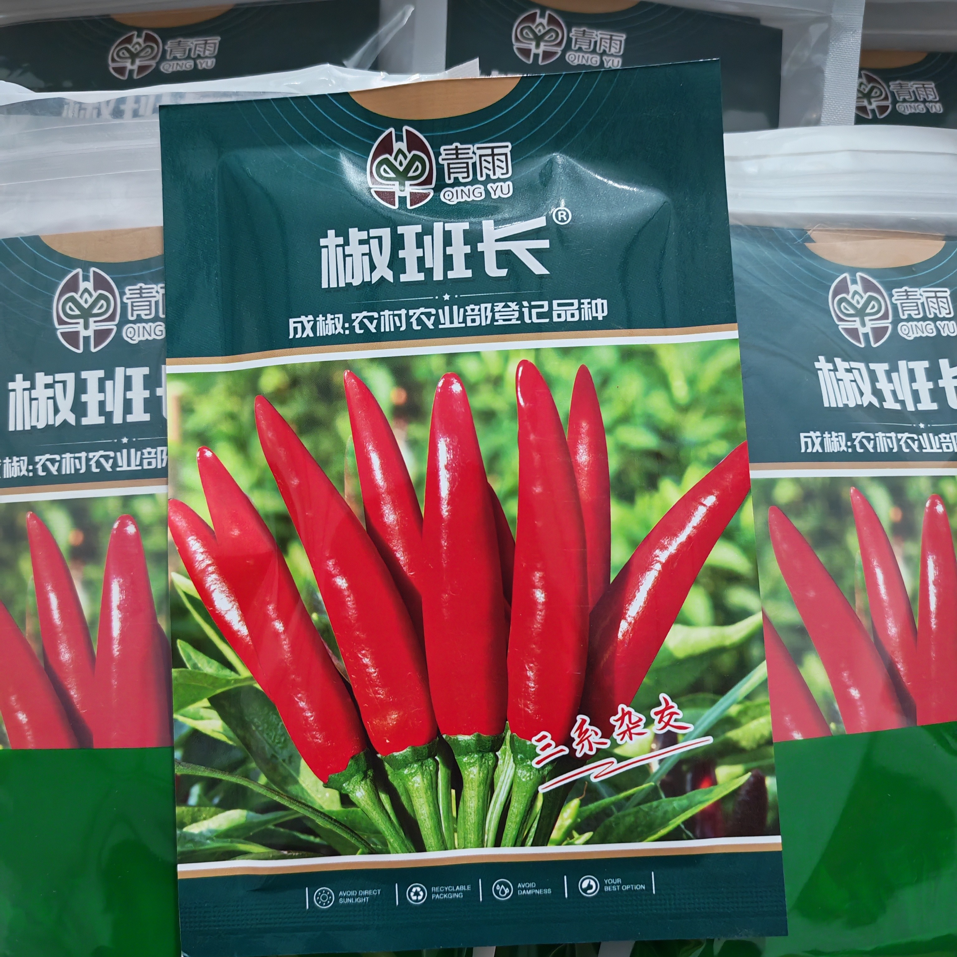 椒班长买五亩送一亩三系杂交辣椒种子干湿两用产量高抗病能力强