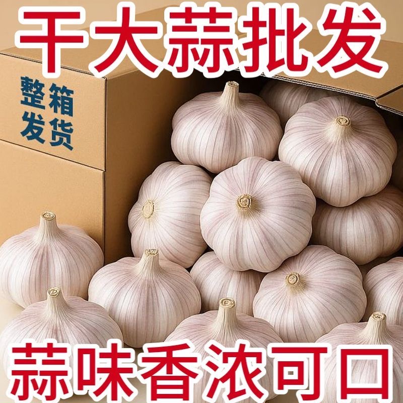 大蒜2025新干蒜特大干大蒜大蒜头干大蒜紫白皮大蒜头干蒜5斤3斤