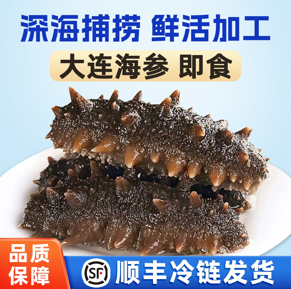 双十一秋参尝鲜三斤装4-15头/500g大连即食深海辽参Q弹口感