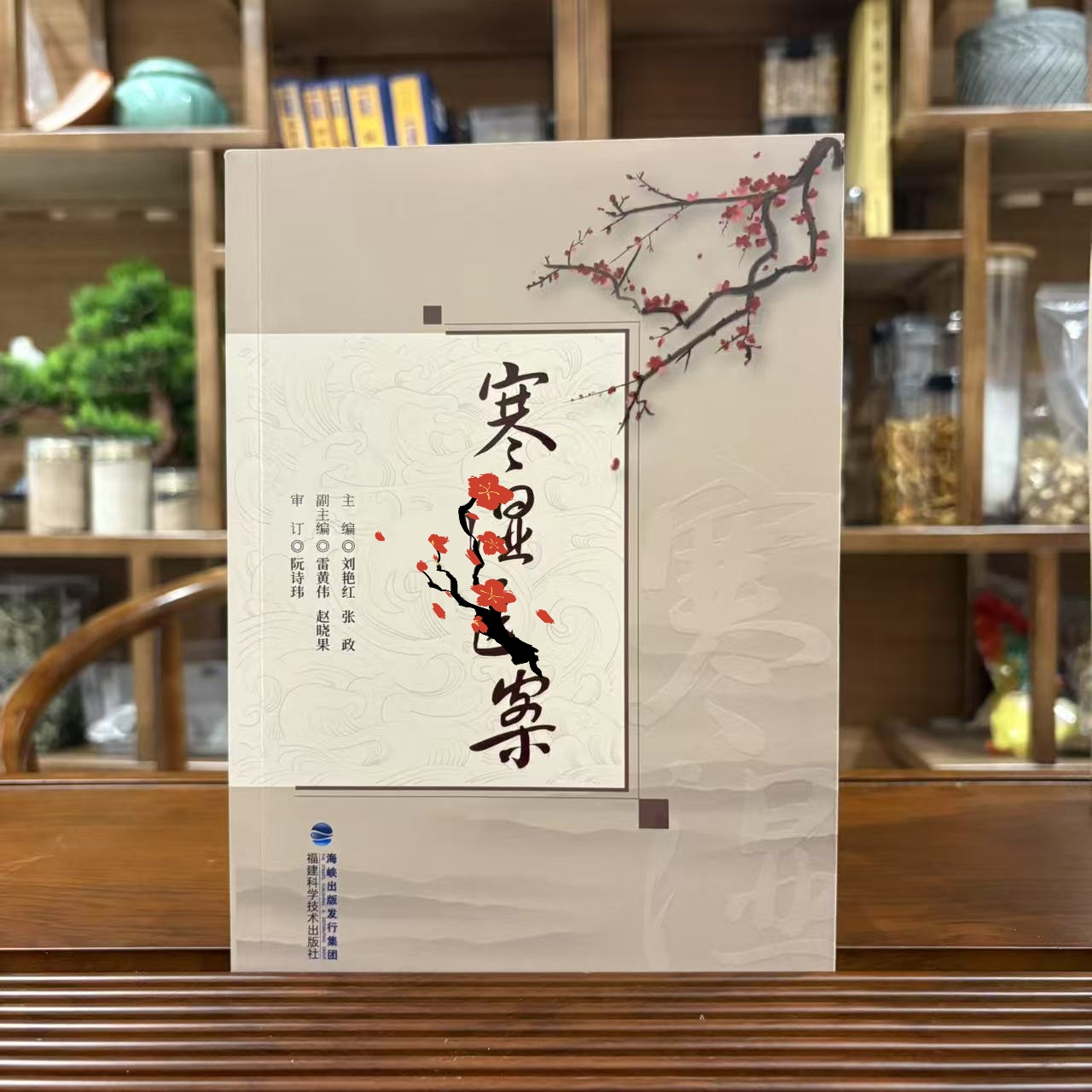 梅花版 寒氵显翳案  中翳入门自学书籍