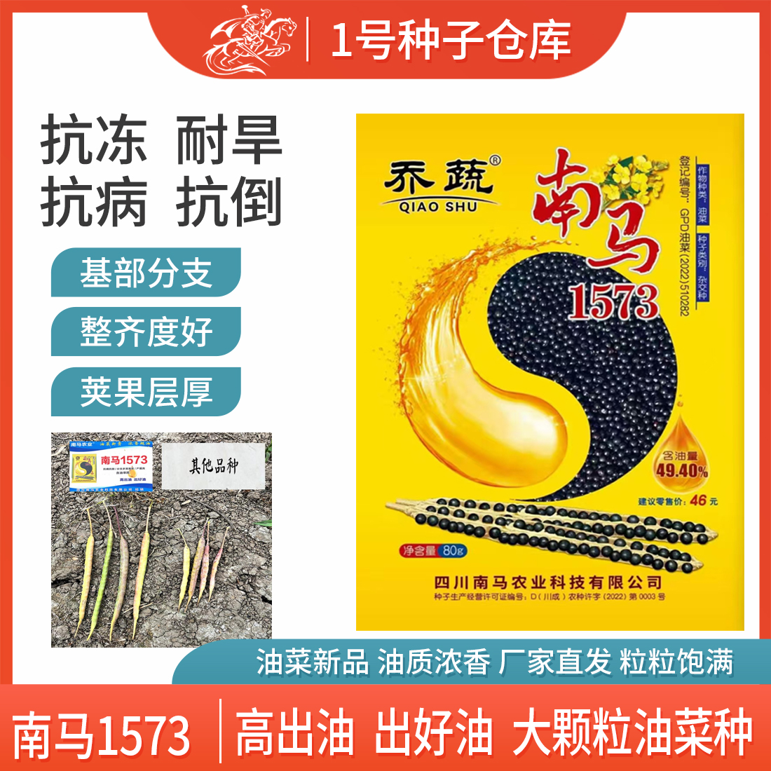 南马1573油菜种子高产四川甘蓝型杂交油菜籽矮杆抗倒伏高出油中熟