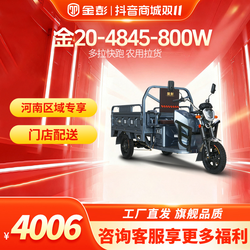 金彭【河南专享 门店配送】金20货运电动三轮车电瓶车拉货家用摆摊