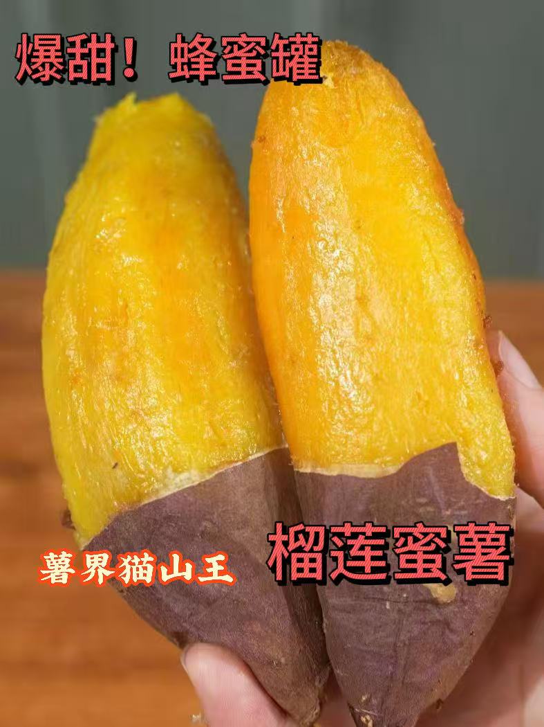 正宗榴莲蜜薯新鲜现挖地瓜软糯香甜适合烤着吃3斤5斤多选择