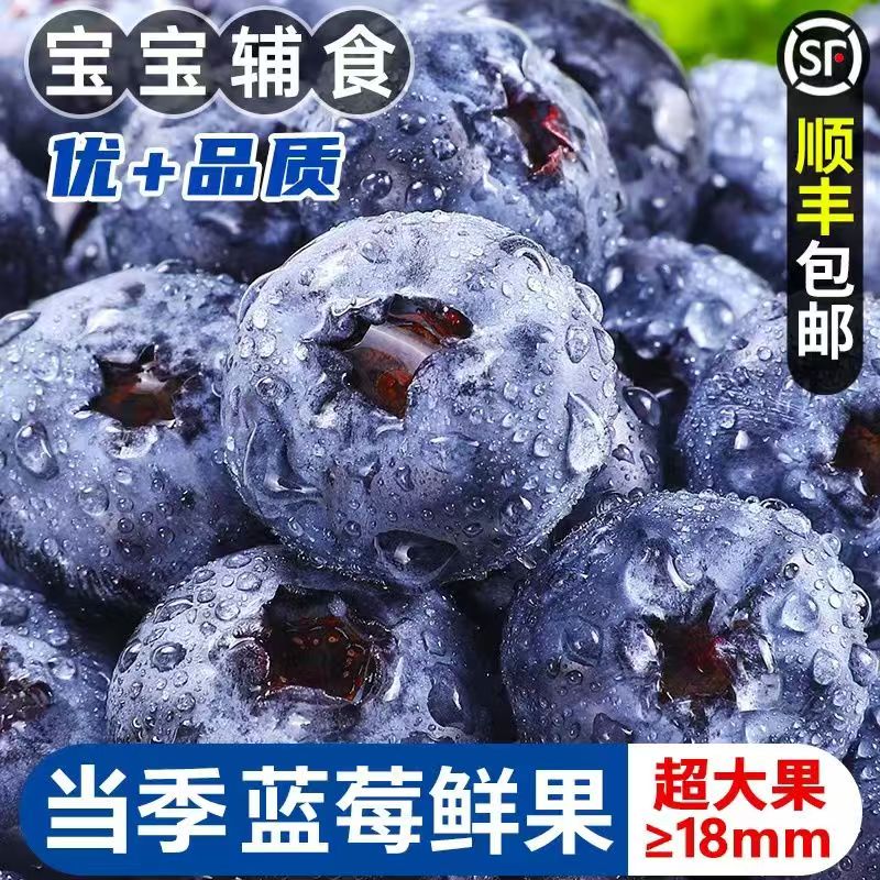 超大顺丰丹东蓝莓鲜果甜精品巨无霸蓝莓当季新果孕妇水果花香蓝莓