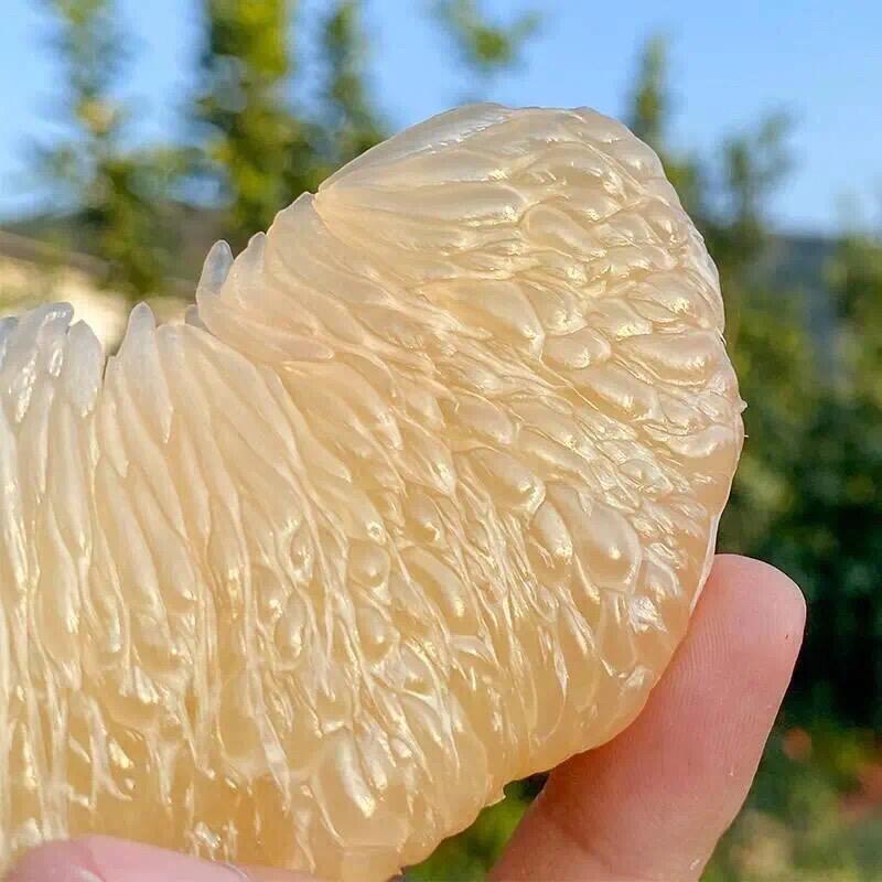 【5斤平和老树蜜柚】现摘现发正宗平和蜜柚皮薄肉厚超级甜中秋送礼