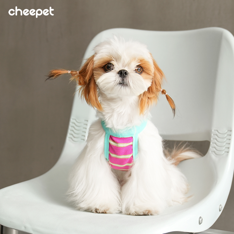 cheepet/趣派宠物狗狗衣服小型犬吊带短款背心可爱家居服春秋季