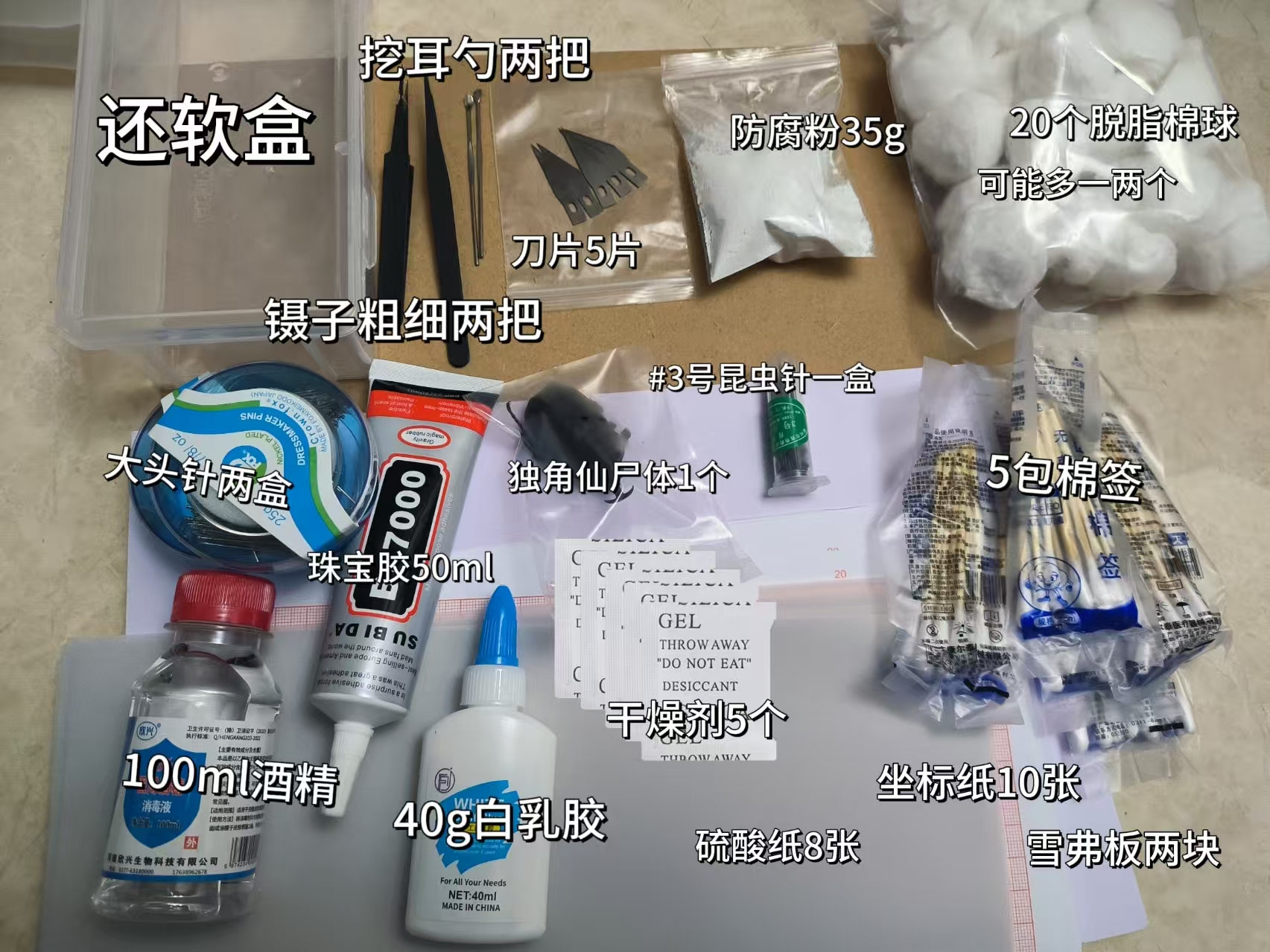 甲虫蝴蝶标本制作套装（全网最全材料）