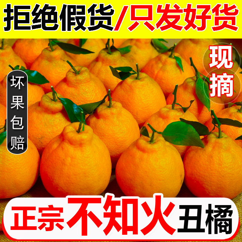 四川高山不知火丑橘新鲜整箱水果当季丑八怪柑橘非粑粑柑