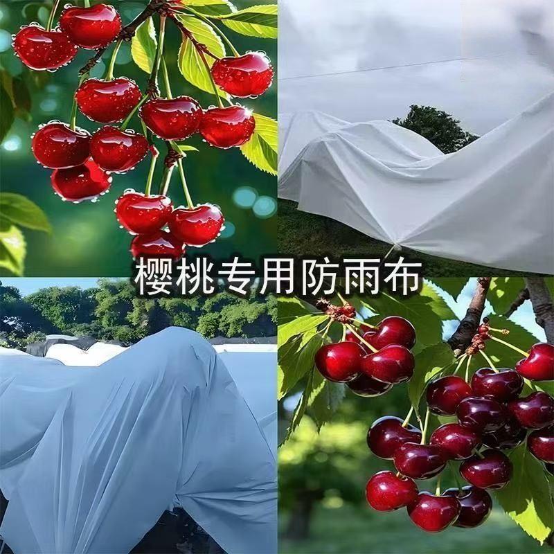 防寒布柑橘李子树车厘子樱桃防雨无纺布果树防雨透气防冻园林农用