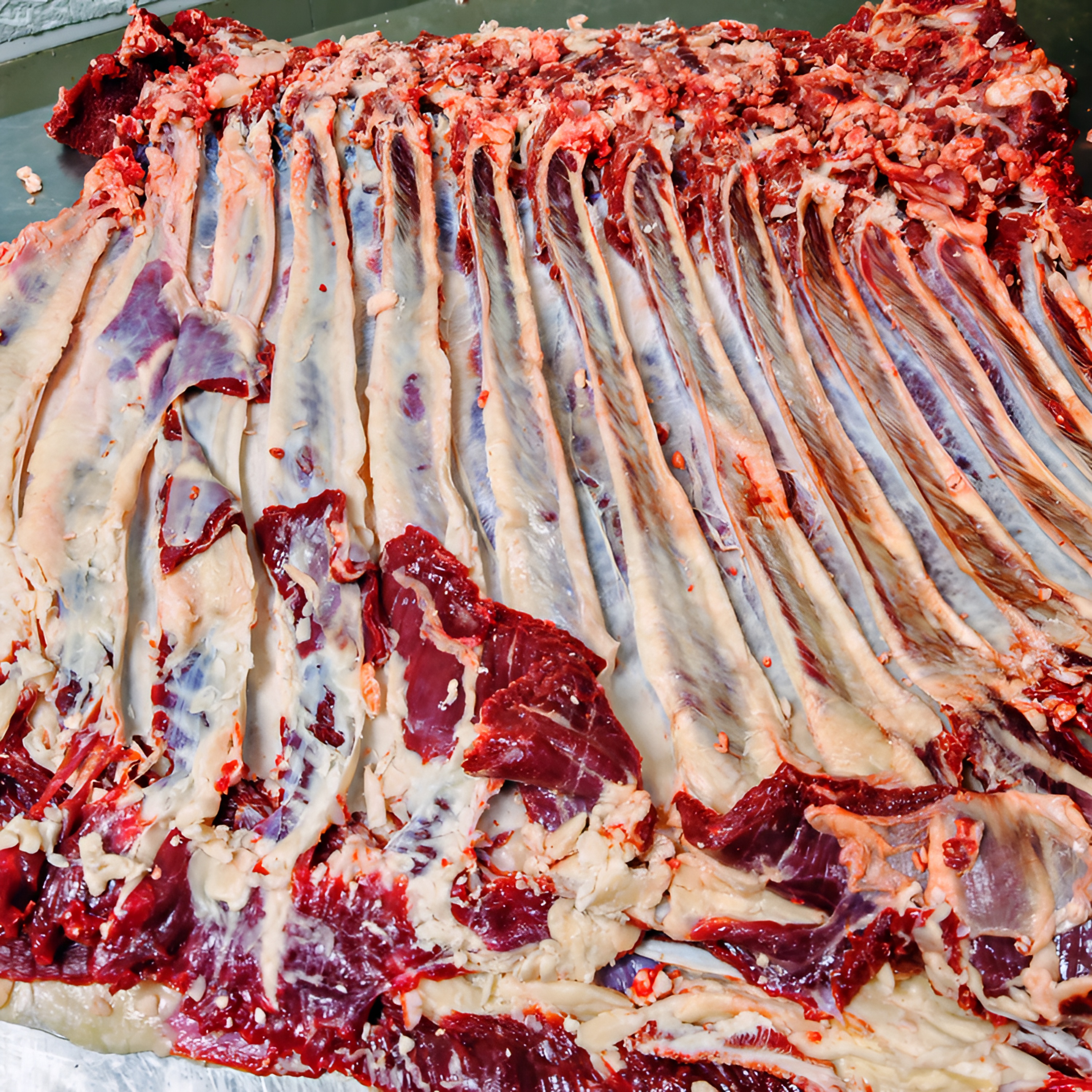 延态康牛生态散养 现宰新鲜真空5斤装航空冷链包邮 直播间专享款