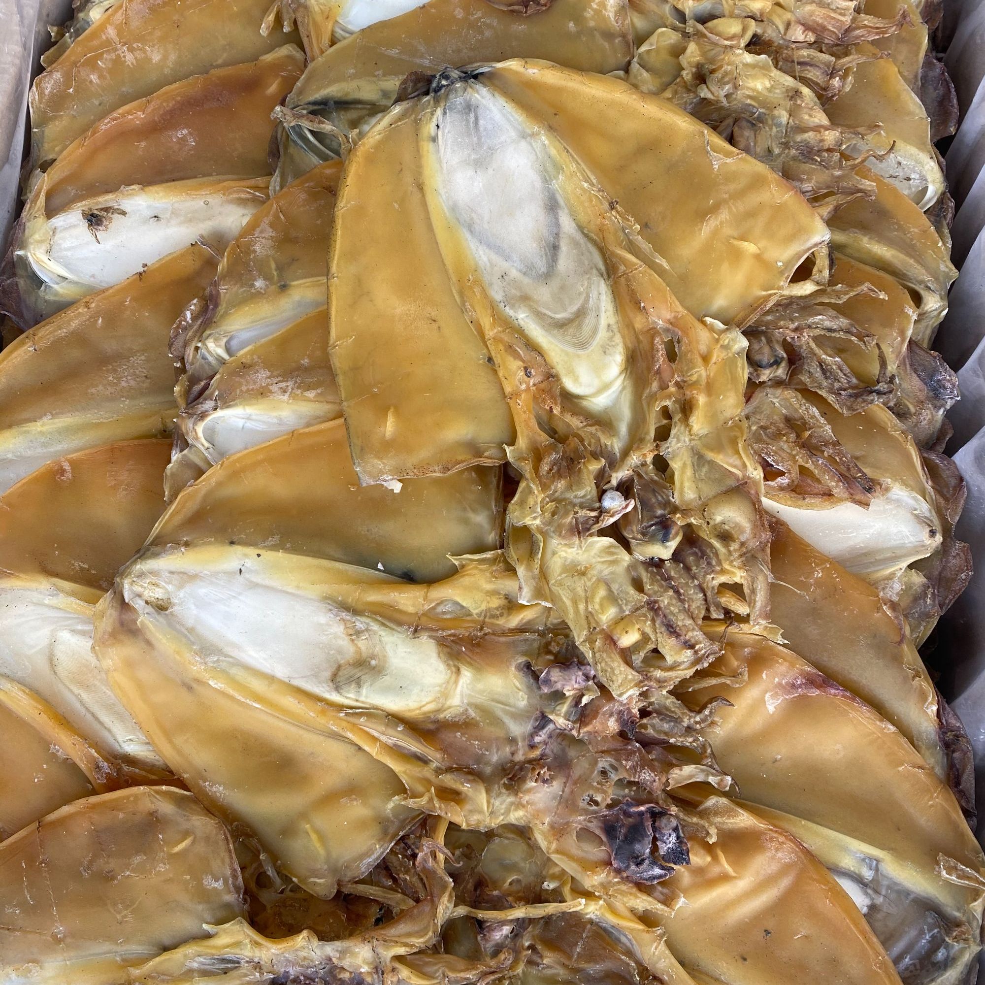 【泷娇甄选】湛江香墨鱼纯淡干