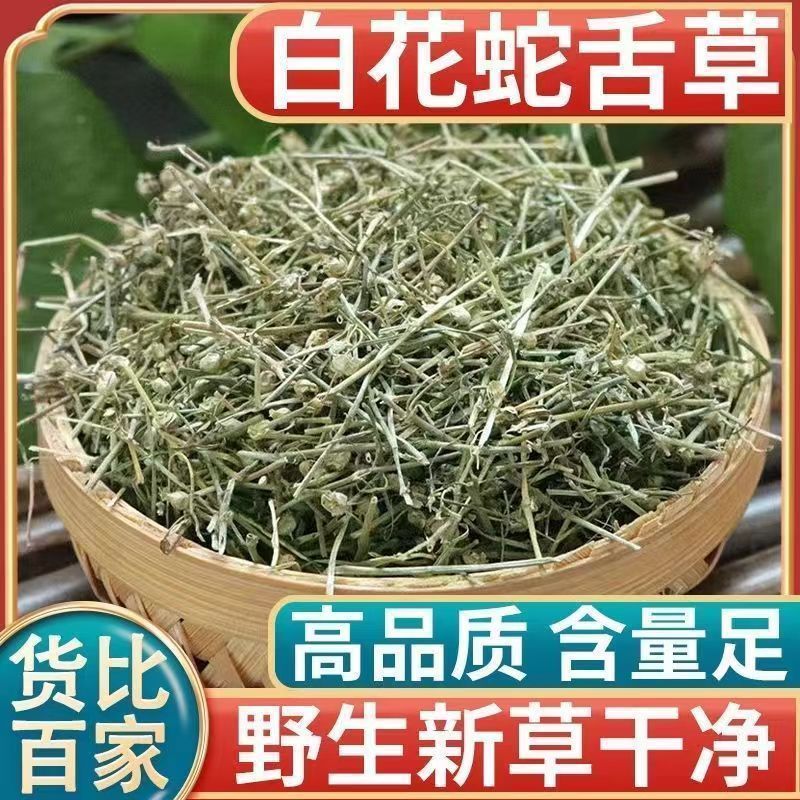 正品精选野生白花蛇舌草干净无硫可搭配半枝莲