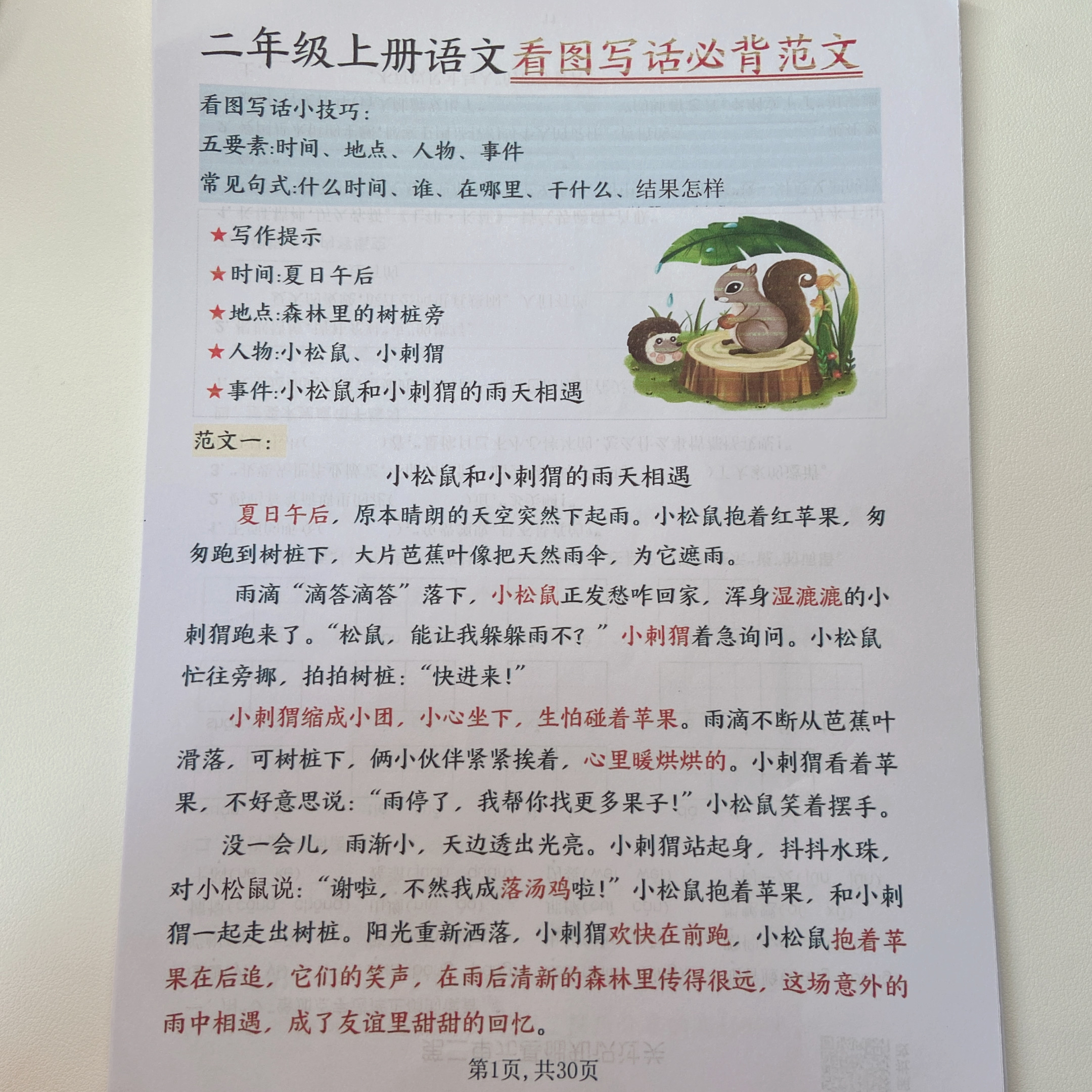 2025秋季新版二年级上册语文看图写话必背范文30 篇