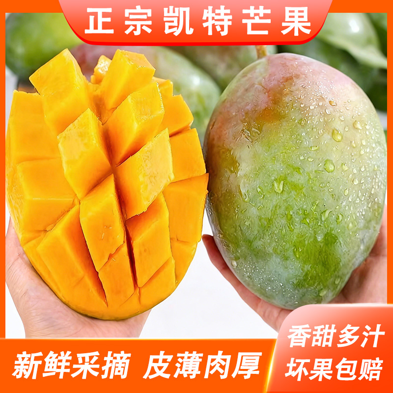 凯特花斑果正宗四川凯特芒果食用农产品香甜当季青皮芒新鲜水果