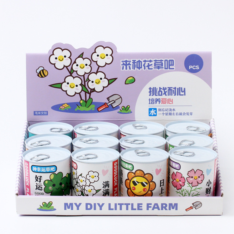 diy种植迷你小盆栽创意趣味易拉罐盆栽桌面摆件花草植物盆景绿植