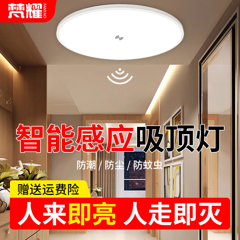 雷达自动人体感应灯吸顶灯过道楼梯灯走廊三防阳台声控灯楼道专用