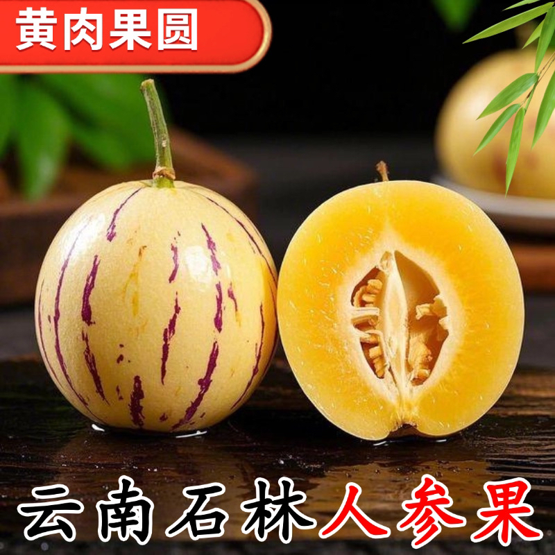 云南石林人参果树上熟黄肉圆果果新鲜清甜多汁当季水果
